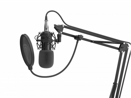 Genesis Radium 300 XLR