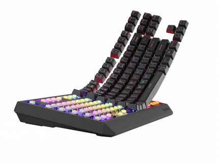 Genesis Thor 230 TKL Wireless