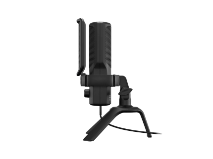 Genesis Radium 250 ЧЕРЕН